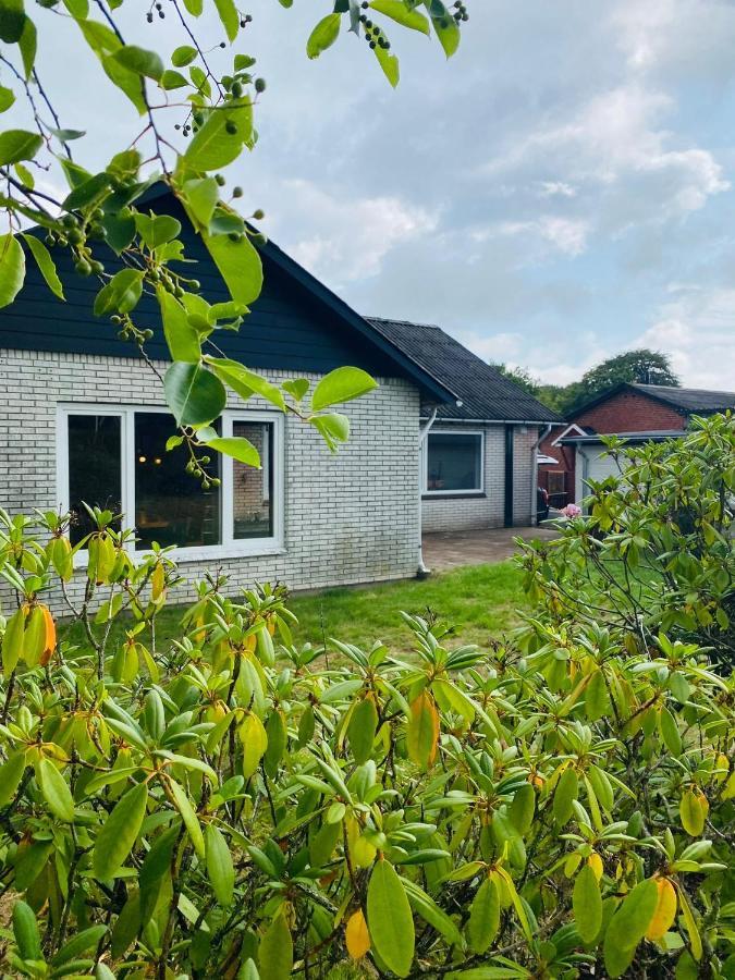 Scandinavian House Hotel- Holbol, Крусо Экстерьер фото